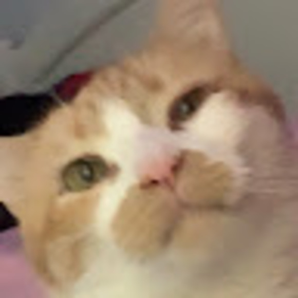 soupiii